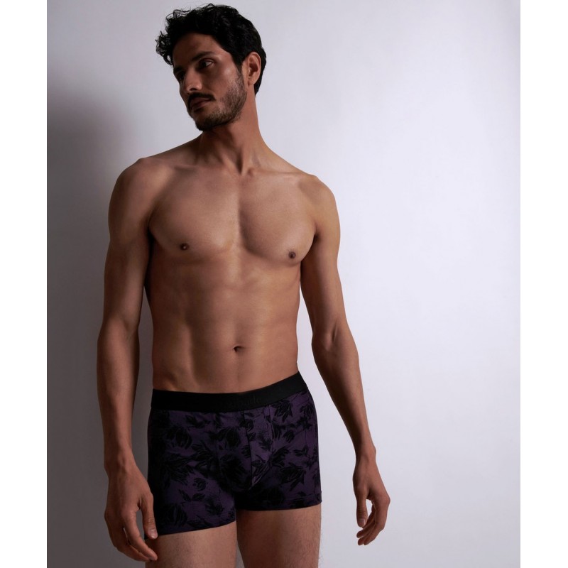 Boxer aubade hotsell